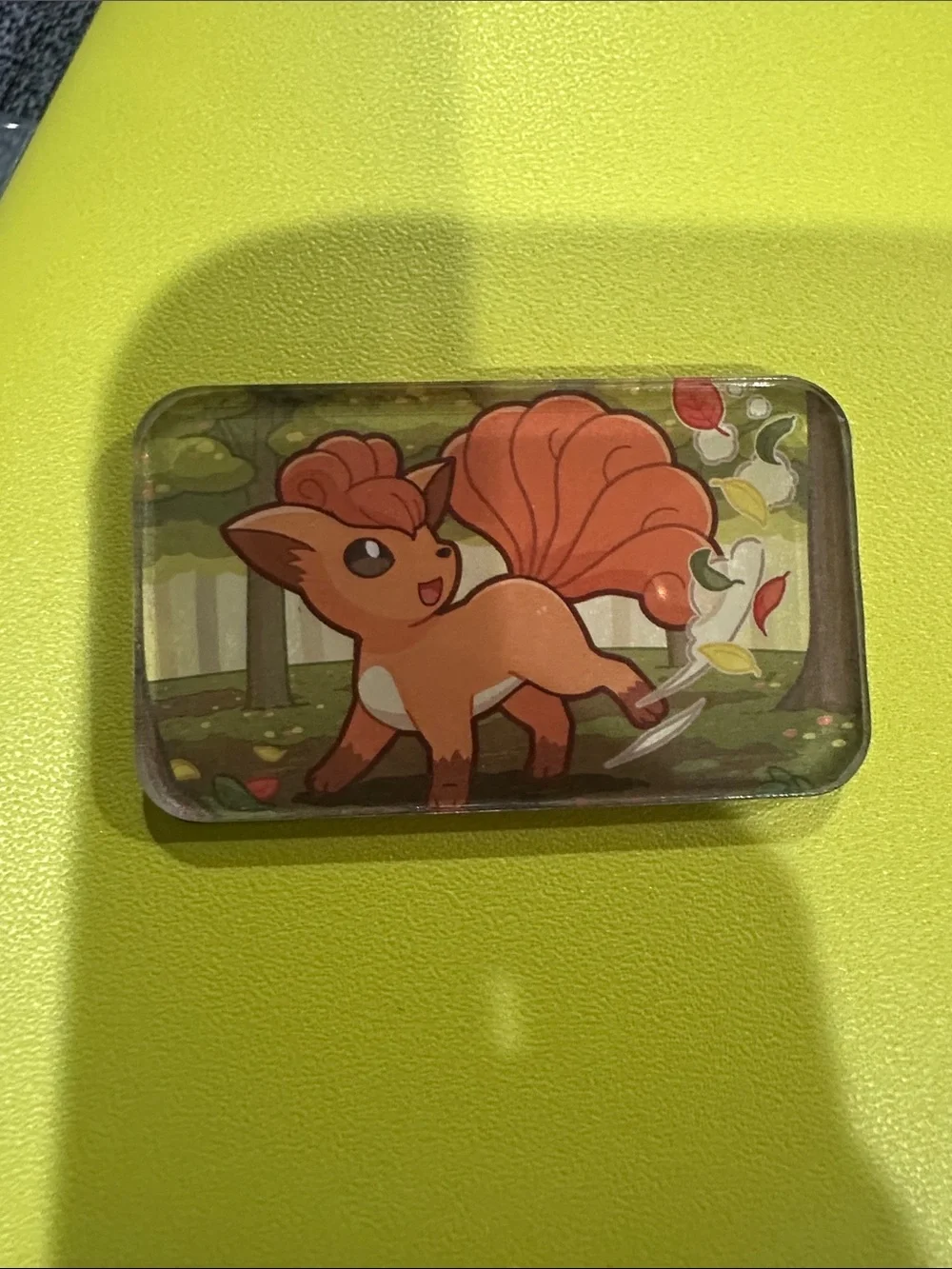 Pokemon bring charm